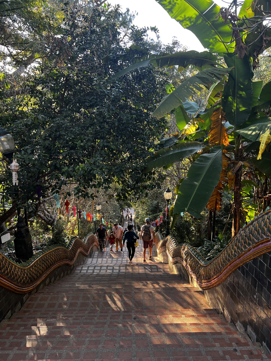 Picture Thailand Chiang Mai Doi Suthep 2024-01 15 - Streets Doi Suthep