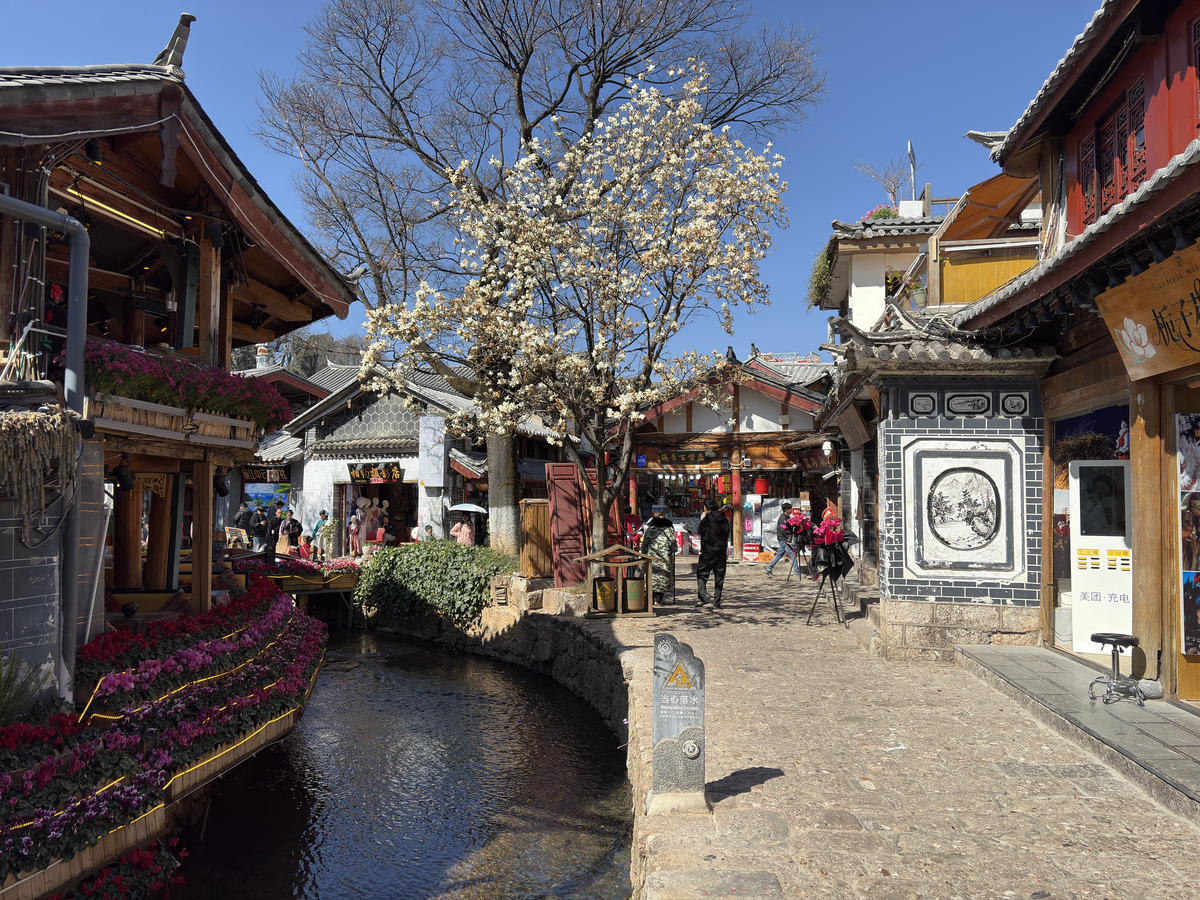 Picture China Lijiang 2026-01 279 - Saving Lijiang