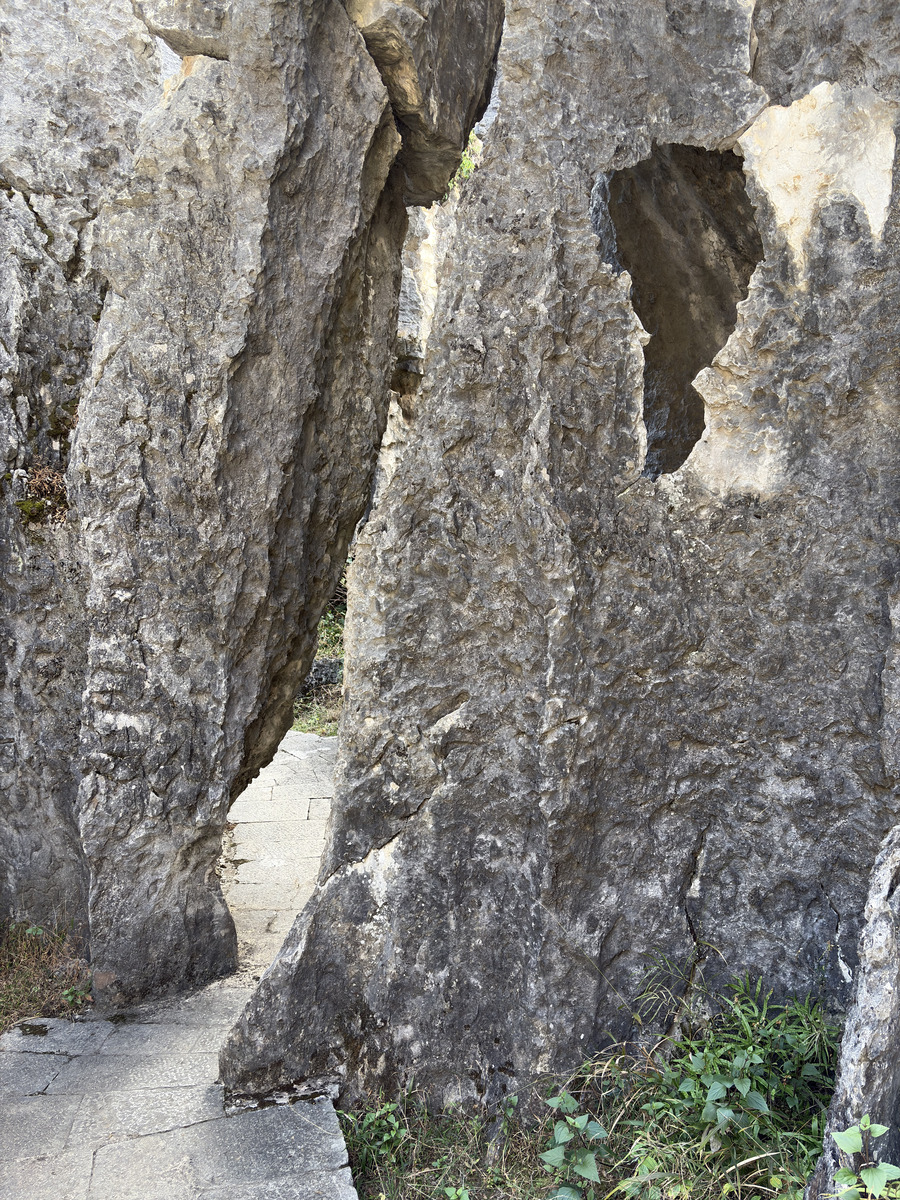 Picture China Shilin Stone Forest 2026-01 86 - To see Shilin Stone Forest