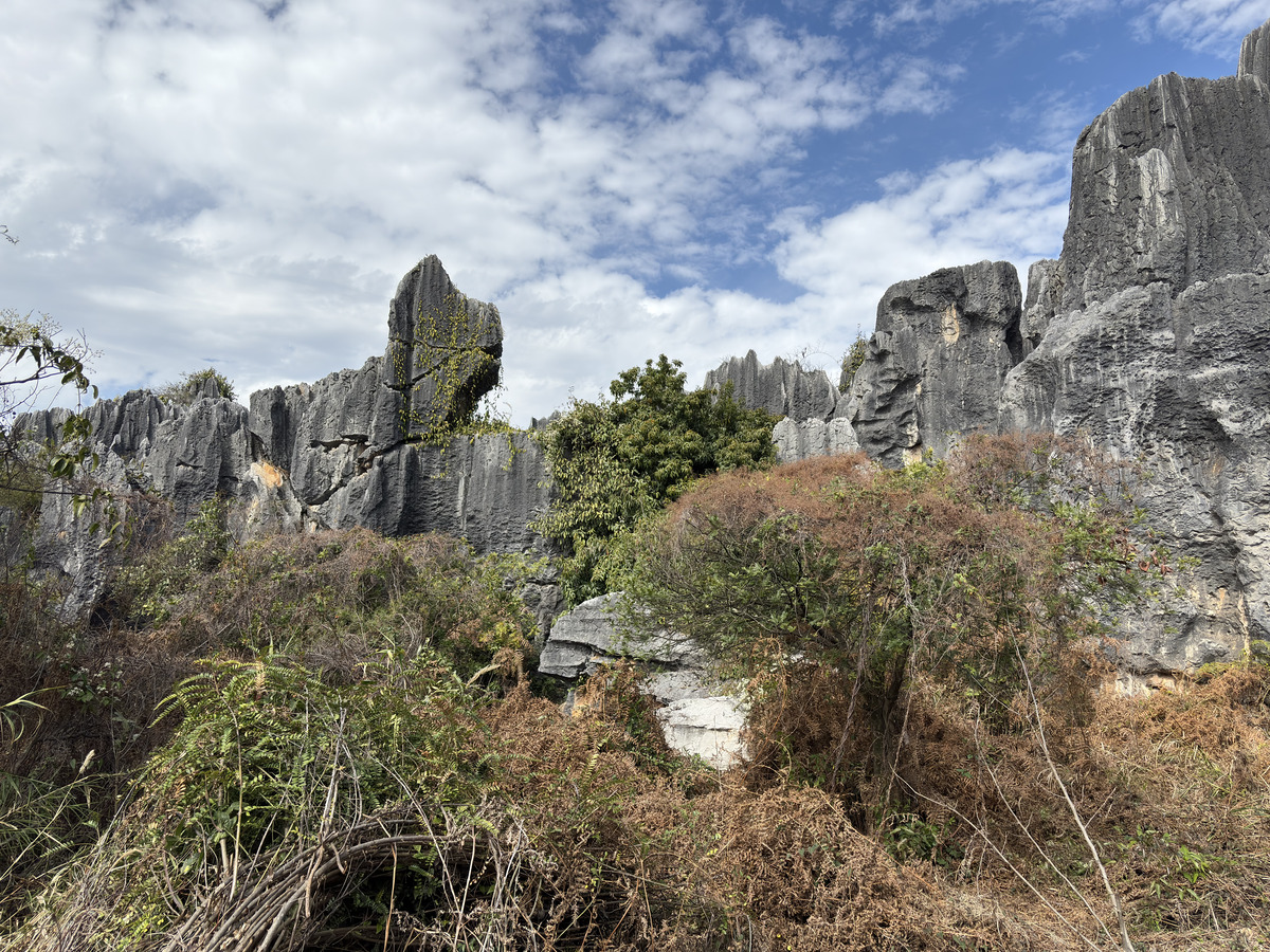 Picture China Shilin Stone Forest 2026-01 134 - Lakes Shilin Stone Forest