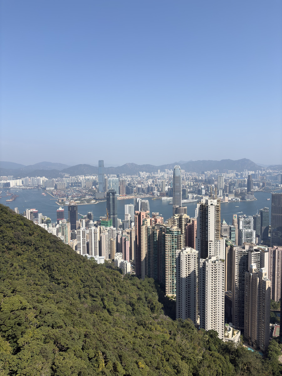 Picture Hong-Kong Hong Kong Island 2026-01 75 - Winter Hong Kong Island