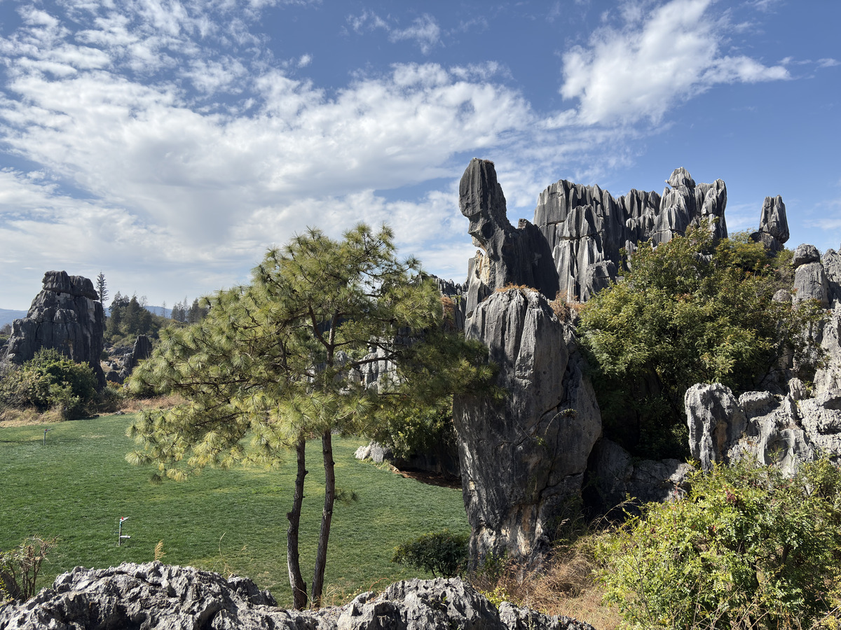 Picture China Shilin Stone Forest 2026-01 23 - Lake Shilin Stone Forest