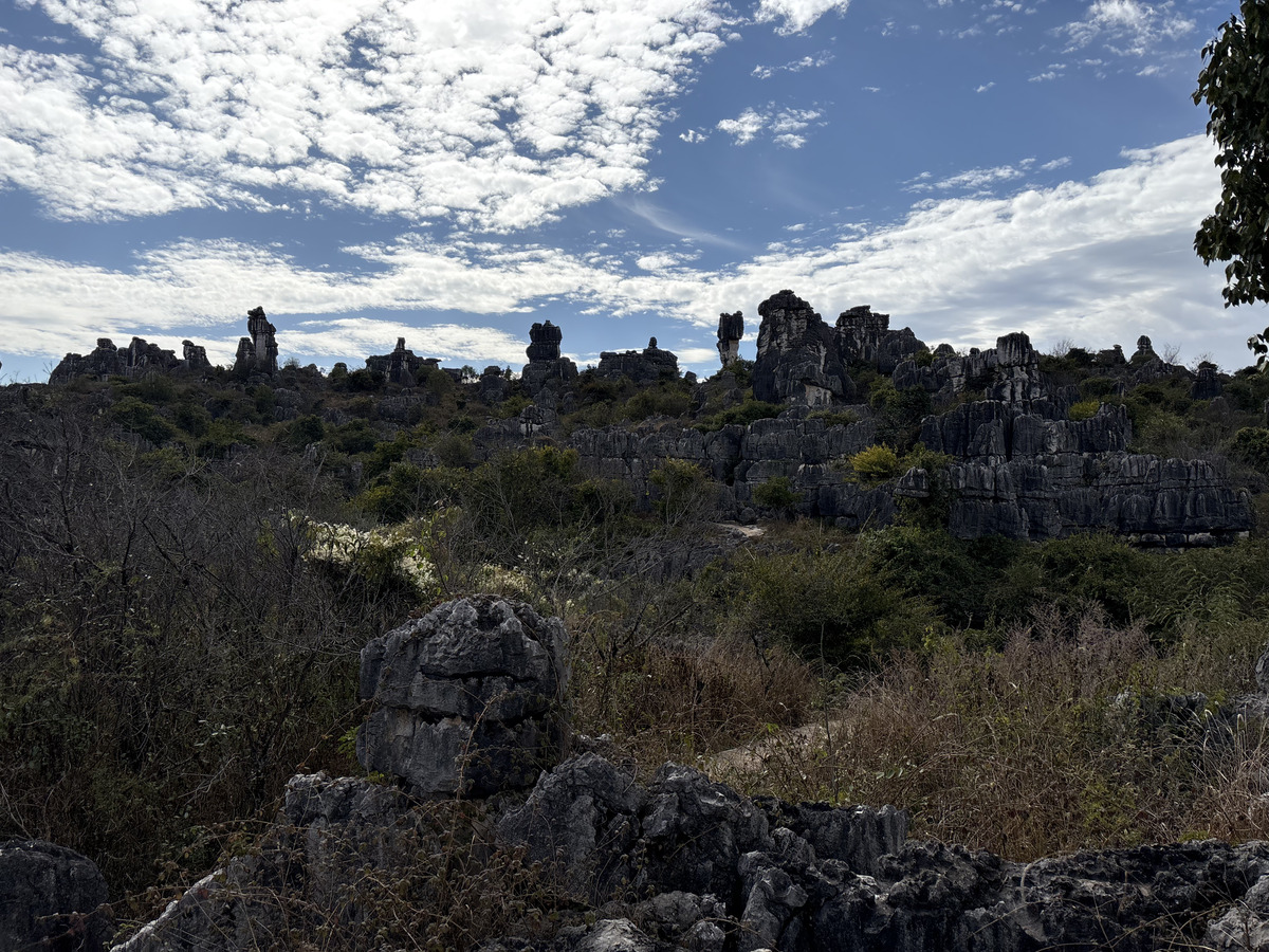 Picture China Shilin Stone Forest 2026-01 346 - Savings Shilin Stone Forest