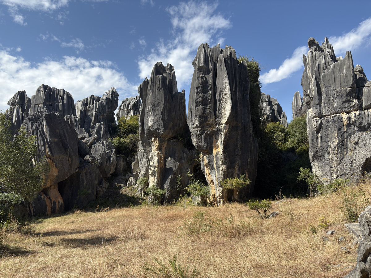 Picture China Shilin Stone Forest 2026-01 67 - Saving Shilin Stone Forest