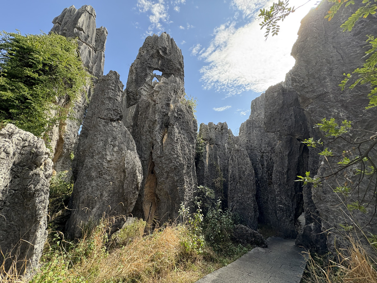 Picture China Shilin Stone Forest 2026-01 380 - Rentals Shilin Stone Forest