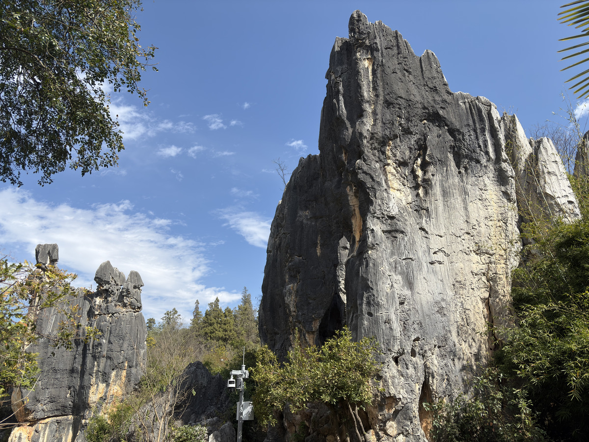 Picture China Shilin Stone Forest 2026-01 186 - Hotels Shilin Stone Forest