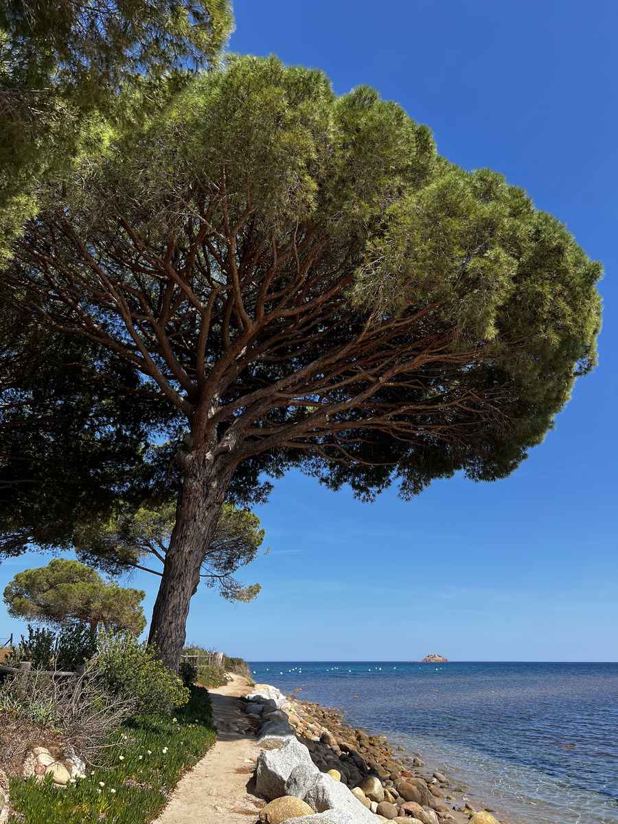Picture France Corsica Pinarellu Beach 2024-05 25 - To see Pinarellu Beach