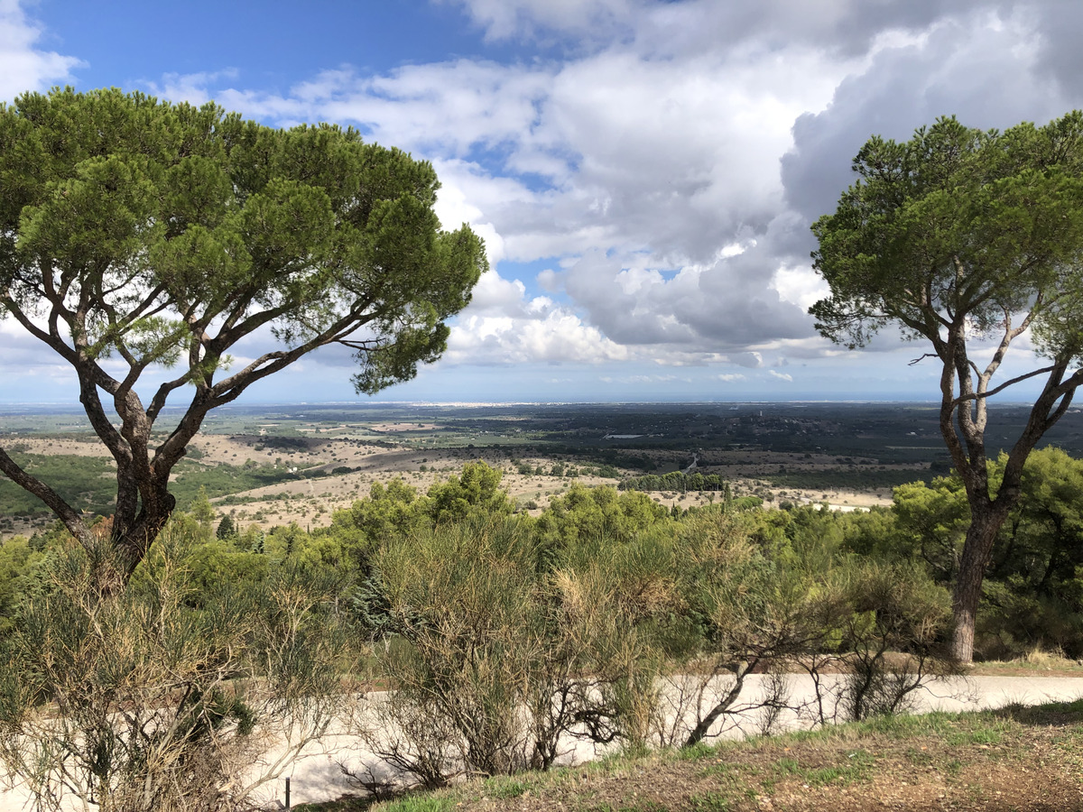 Picture Italy Castel del monte 2024-09 86 - Hotels Castel del monte