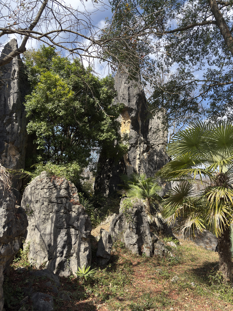 Picture China Shilin Stone Forest 2026-01 36 - Summer Shilin Stone Forest