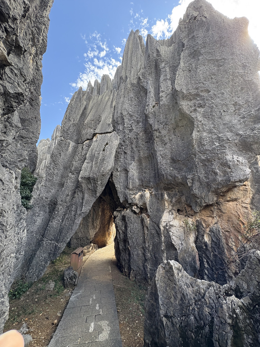 Picture China Shilin Stone Forest 2026-01 178 - Rental Shilin Stone Forest