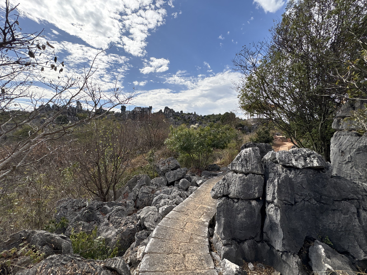 Picture China Shilin Stone Forest 2026-01 325 - Monument Shilin Stone Forest