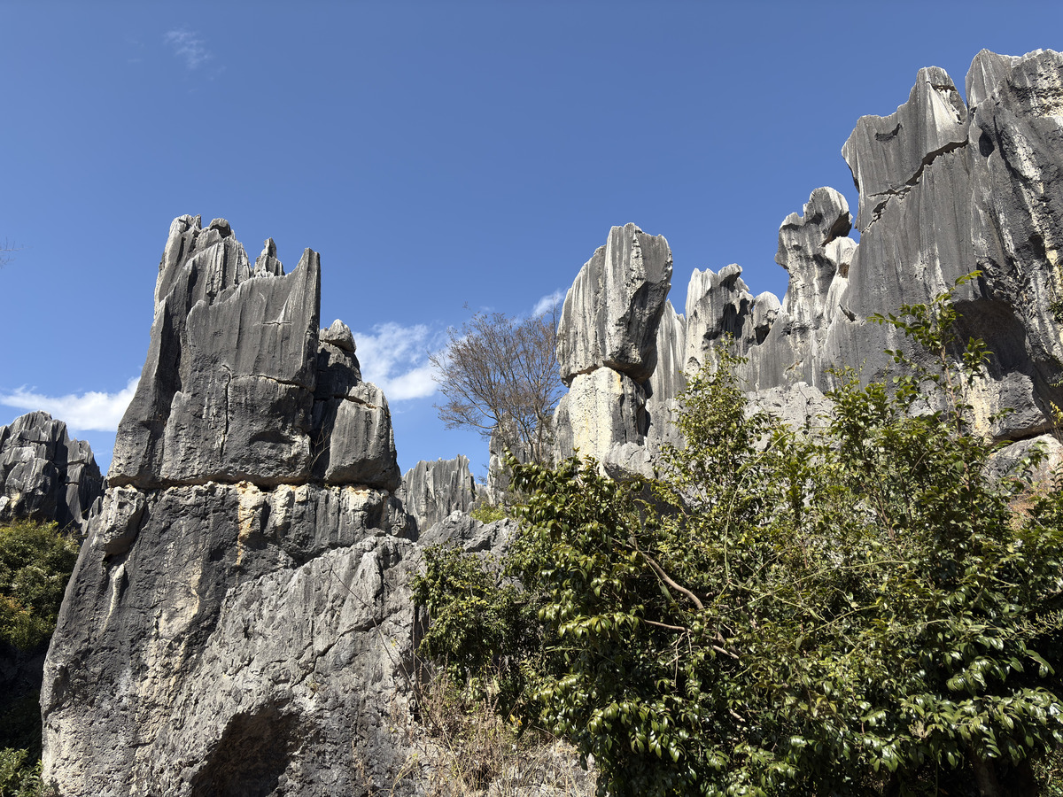 Picture China Shilin Stone Forest 2026-01 276 - Price Shilin Stone Forest