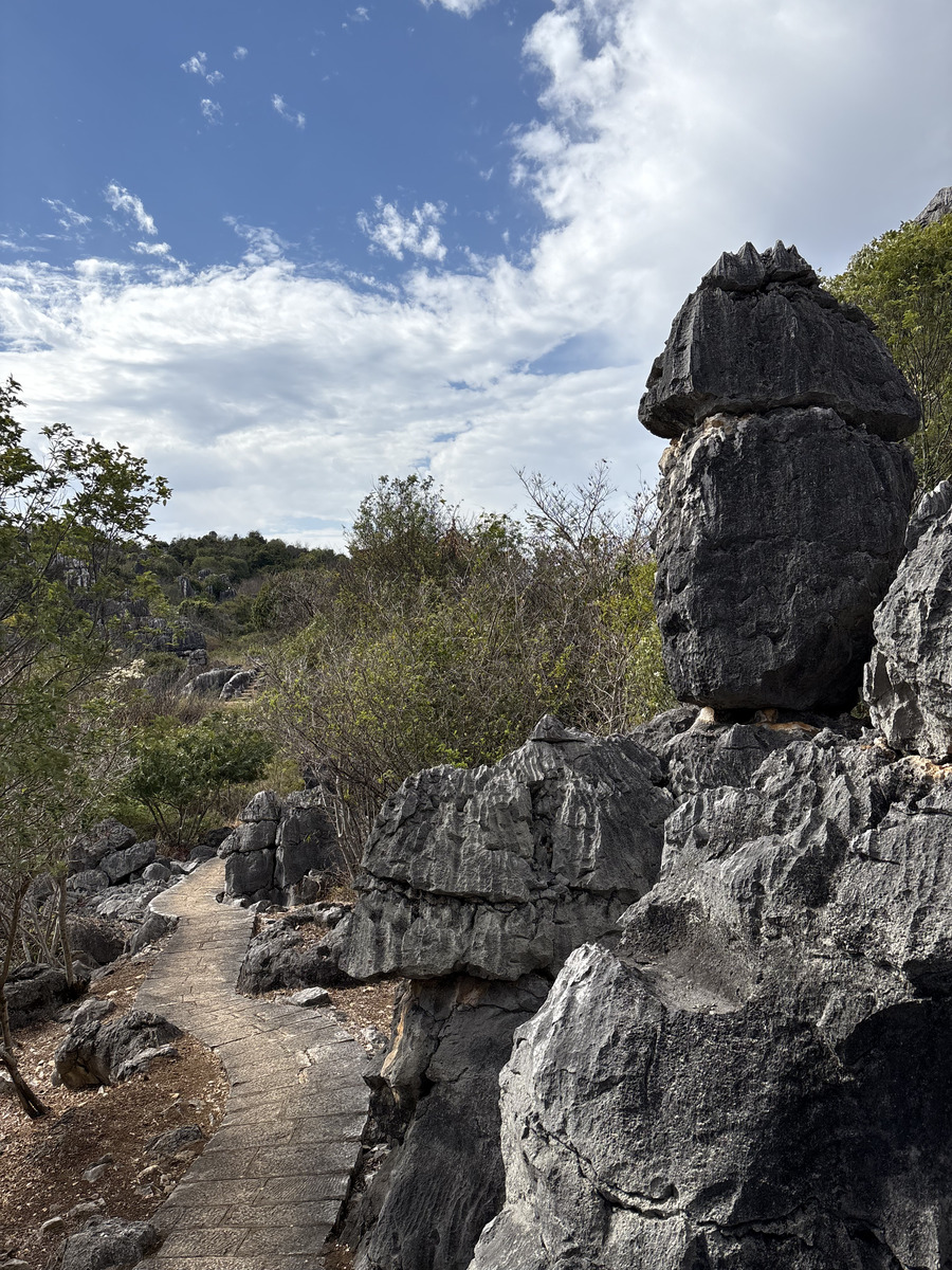Picture China Shilin Stone Forest 2026-01 375 - Rental Shilin Stone Forest