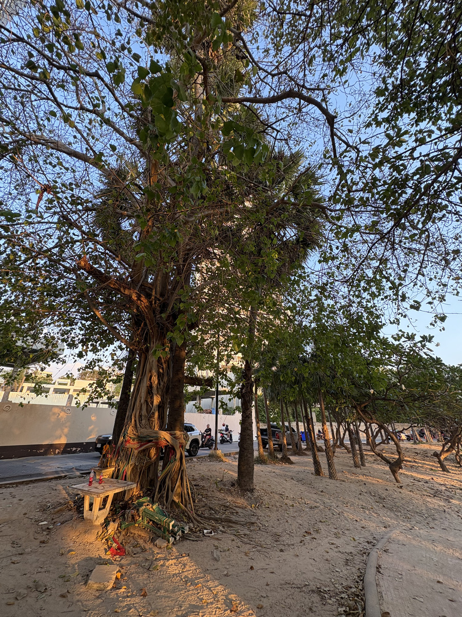 Picture Thailand Pattaya Dongtan beach 2025-12 28 - Winter Dongtan beach