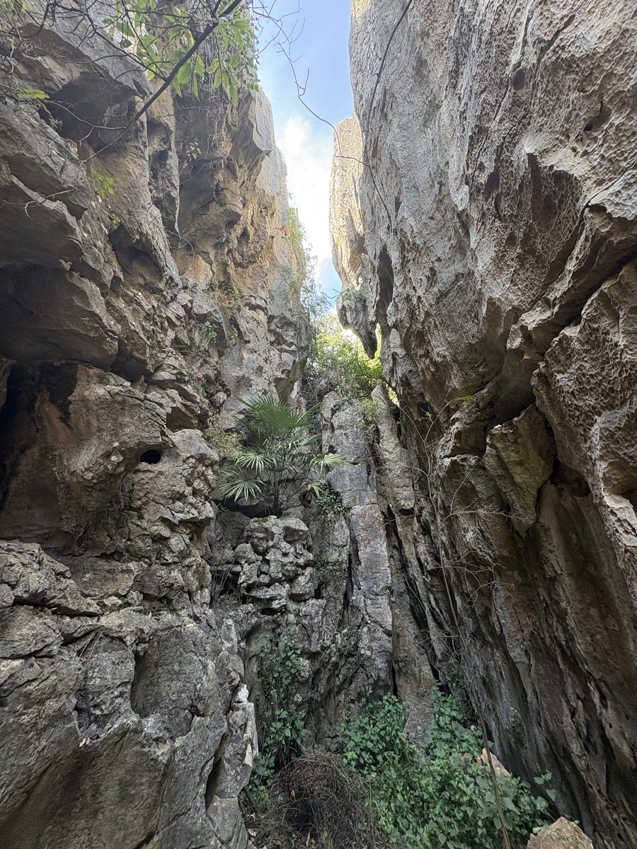 Picture China Shilin Stone Forest 2026-01 359 - To see Shilin Stone Forest