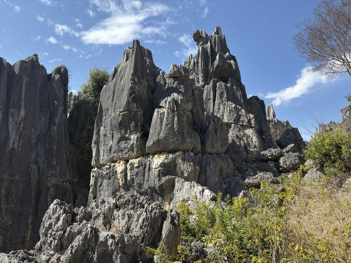 Picture China Shilin Stone Forest 2026-01 143 - Spring Shilin Stone Forest