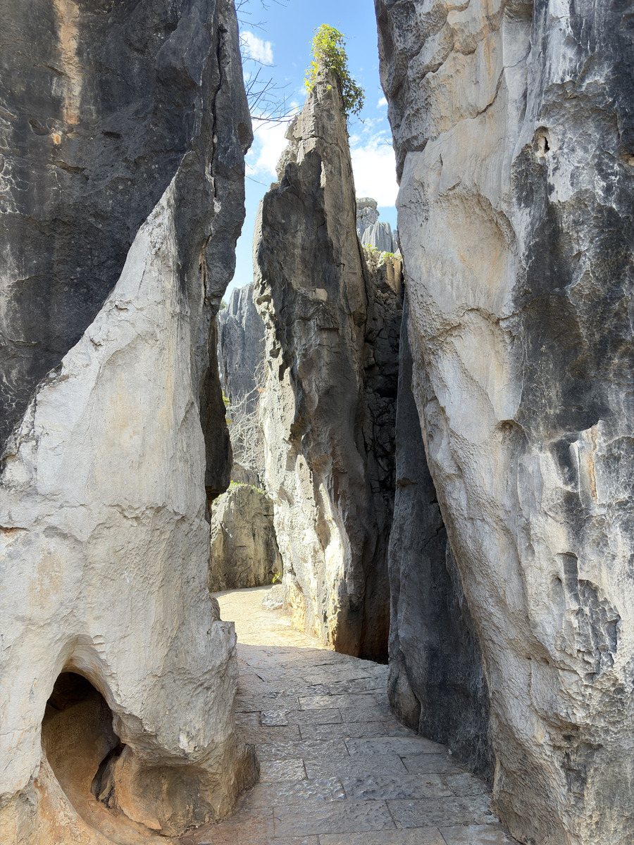 Picture China Shilin Stone Forest 2026-01 239 - Cheap Room Shilin Stone Forest