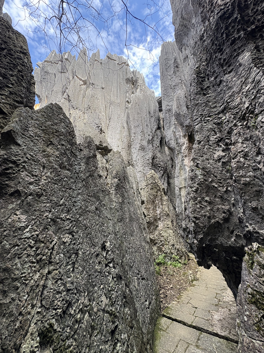 Picture China Shilin Stone Forest 2026-01 170 - To see Shilin Stone Forest
