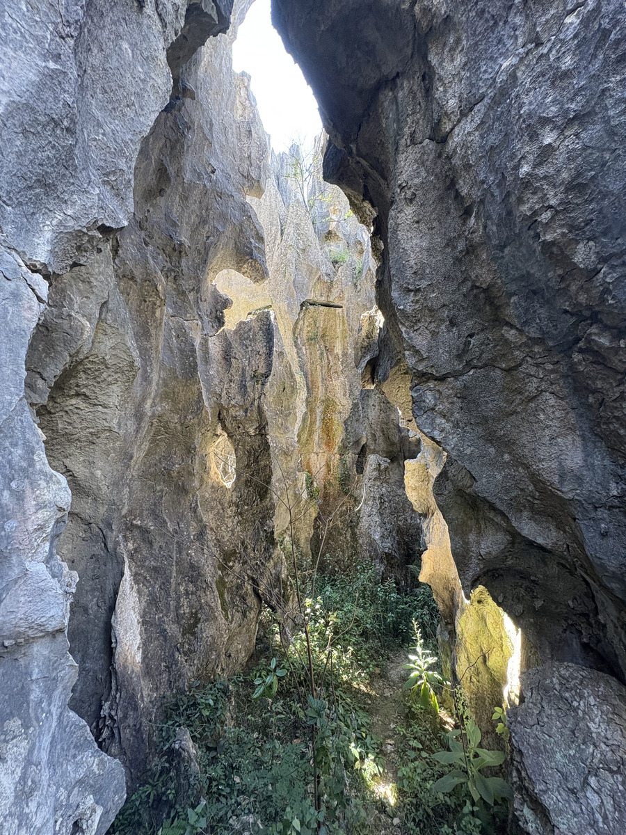 Picture China Shilin Stone Forest 2026-01 200 - Hotels Shilin Stone Forest