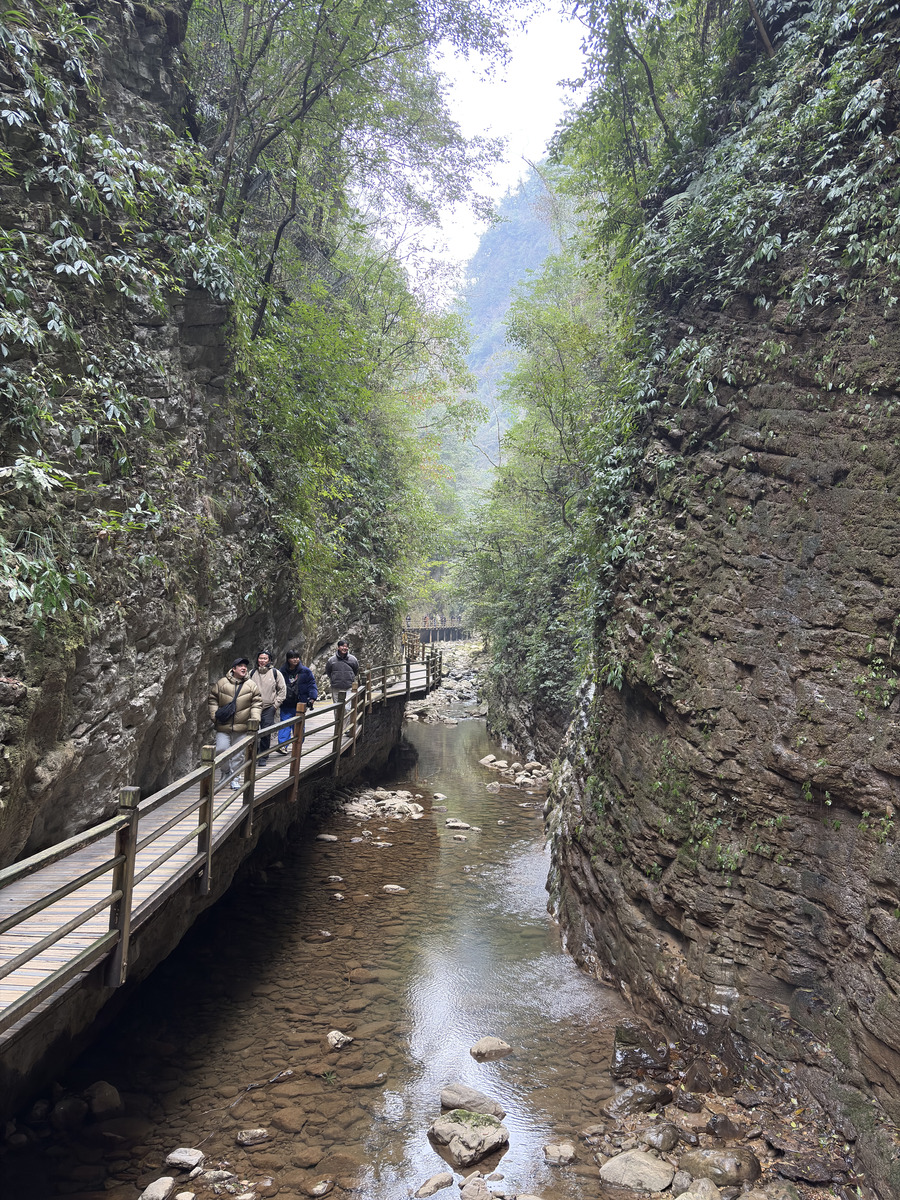 Picture China Zhangjiajie Grand Canion 2026-01 74 - Hot Season Grand Canion
