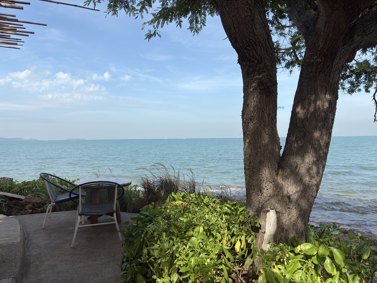 Picture Thailand Pattaya Oxygen Restaurant 2024-12 69 - City Oxygen Restaurant