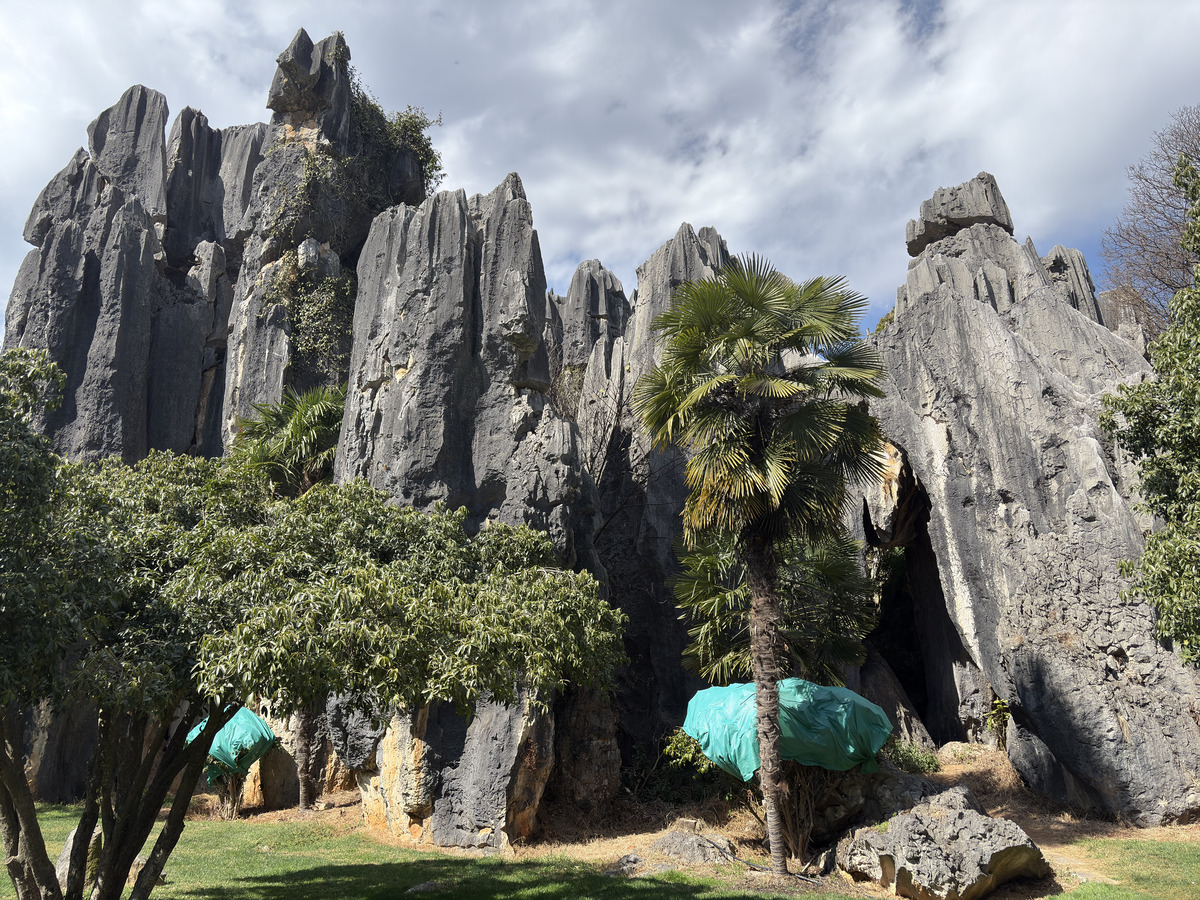Picture China Shilin Stone Forest 2026-01 10 - Cost Shilin Stone Forest