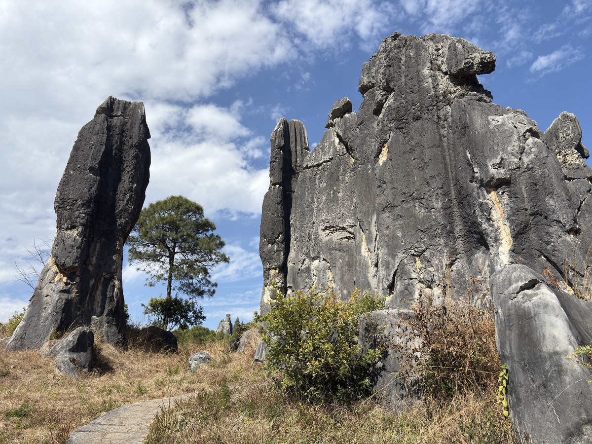 Picture China Shilin Stone Forest 2026-01 96 - City Sight Shilin Stone Forest