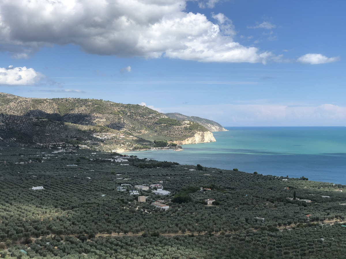 Picture Italy Gargano 2024-09 99 - Savings Gargano