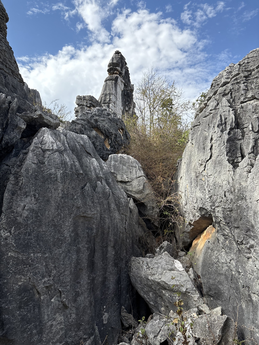 Picture China Shilin Stone Forest 2026-01 298 - Rentals Shilin Stone Forest