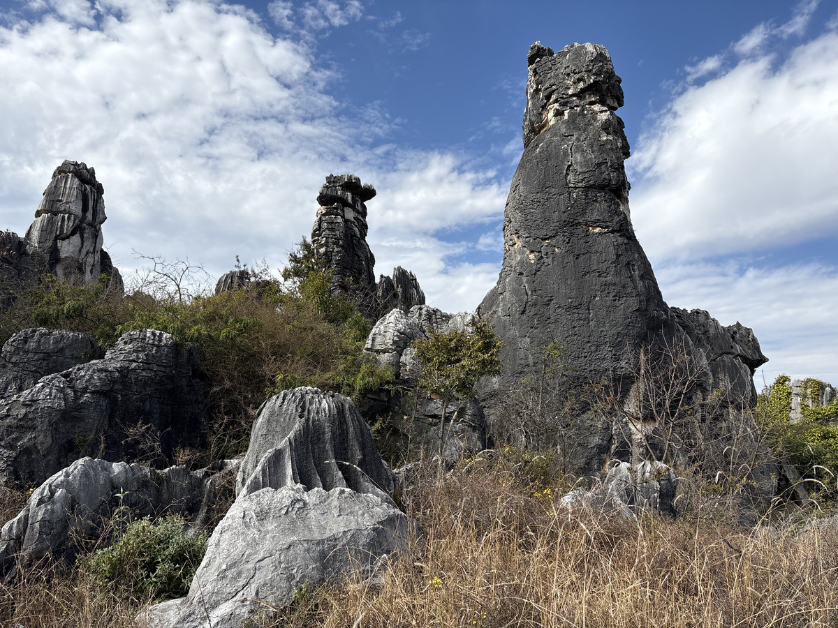 Picture China Shilin Stone Forest 2026-01 115 - Summer Shilin Stone Forest