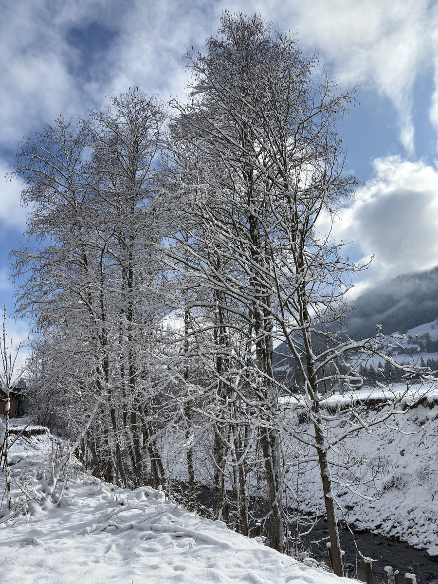 Picture France Praz sur Arly 2025-02 87 - Restaurants Praz sur Arly
