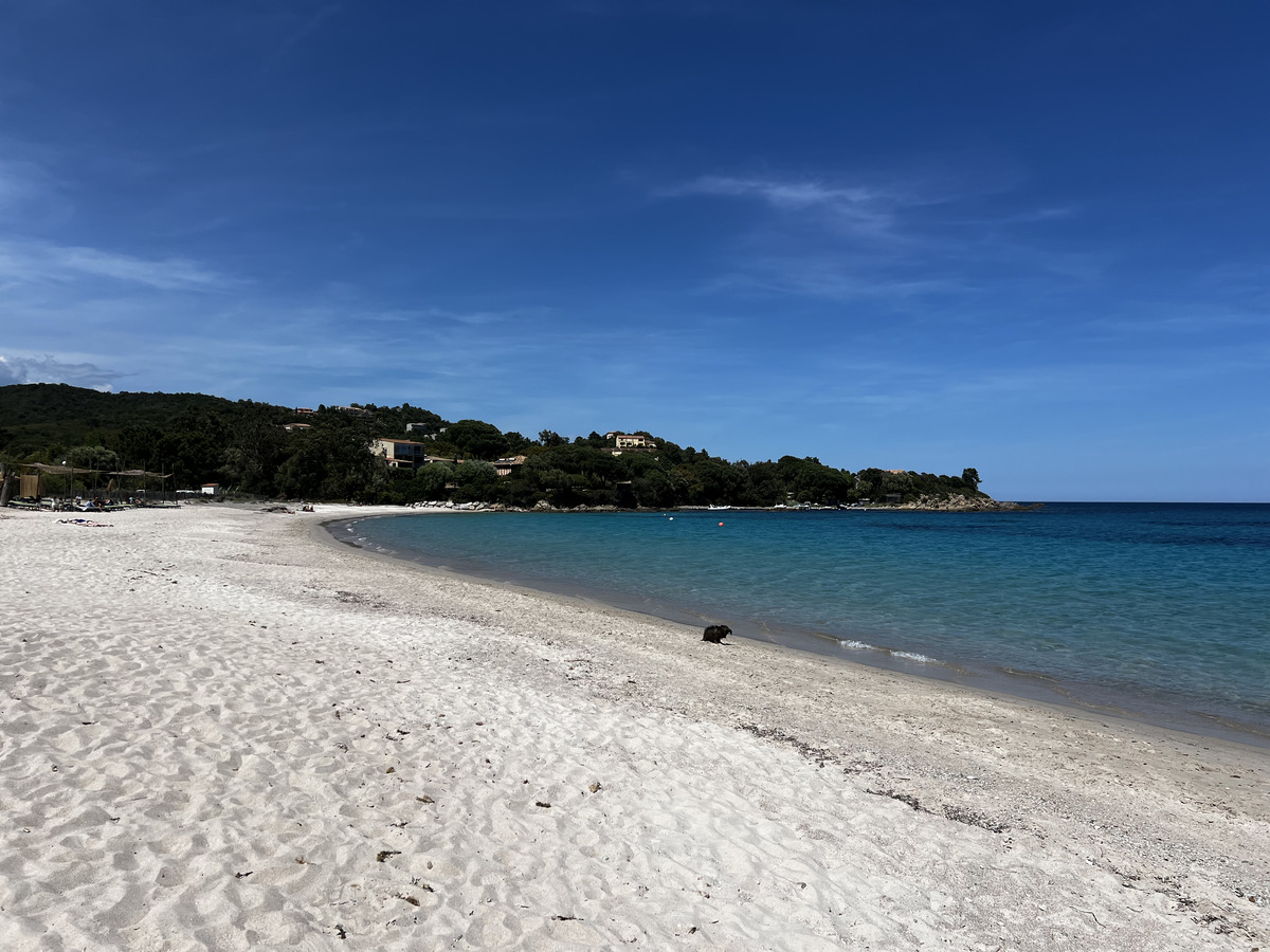 Picture France Corsica Pinarellu Beach 2024-05 20 - Rooms Pinarellu Beach
