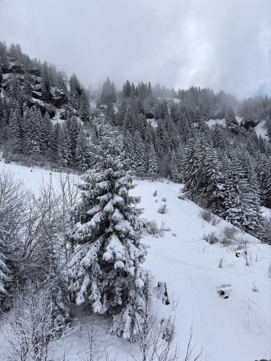 Picture France Praz sur Arly 2025-02 55 - Waterfall Praz sur Arly