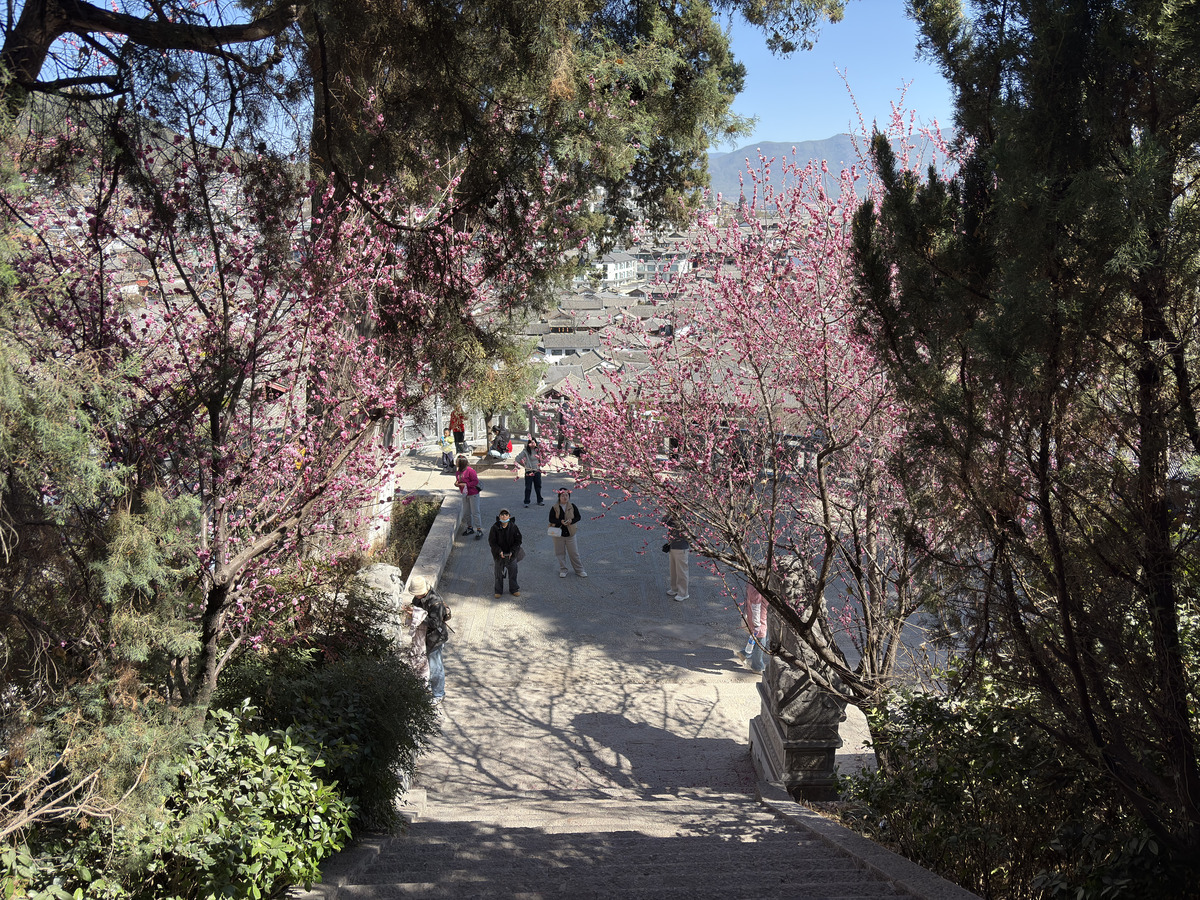 Picture China Lijiang 2026-01 588 - Land Lijiang
