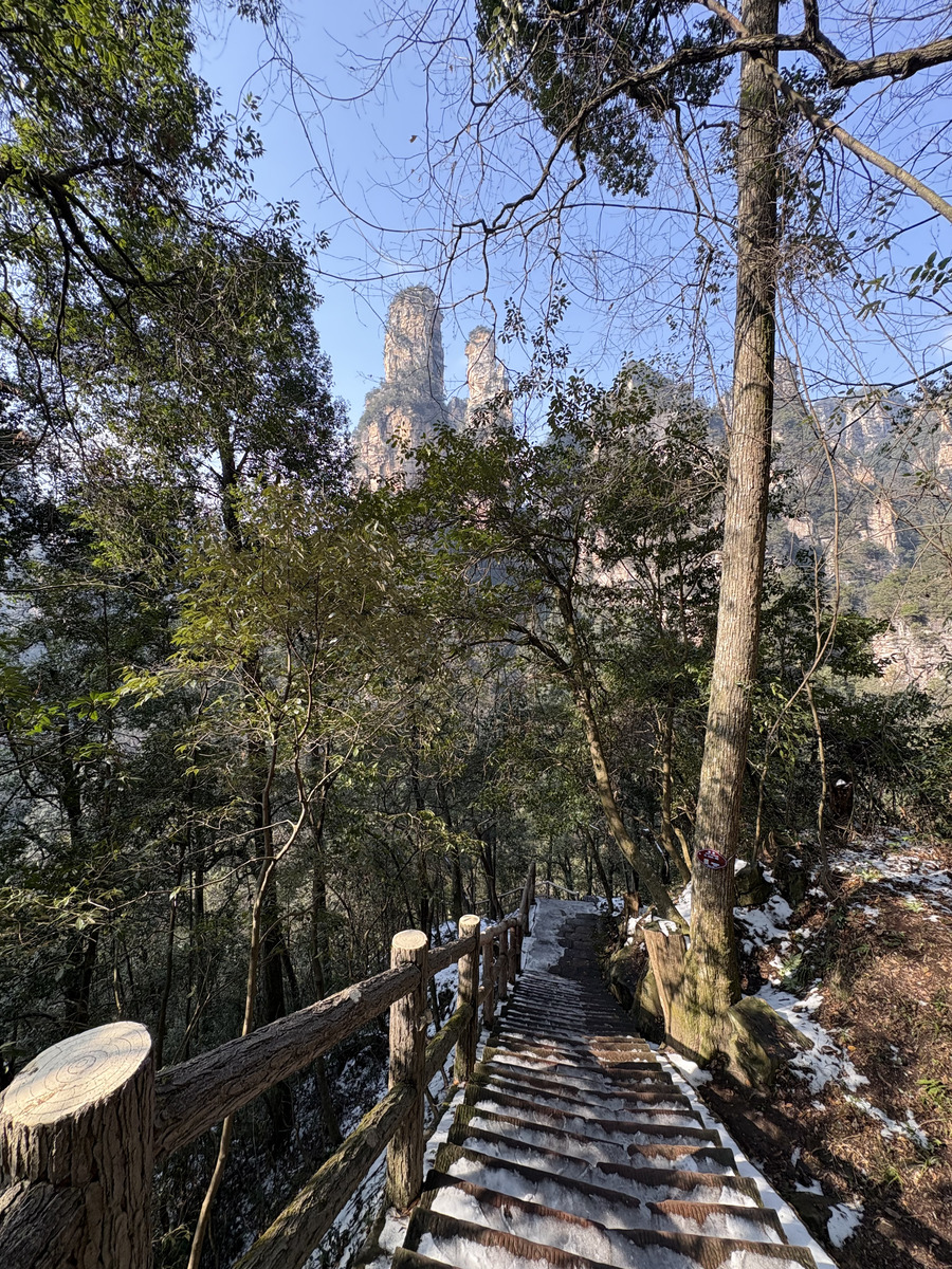 Picture China Zhangjiajie Tianzi Mountrain 2026-01 336 - Saving Tianzi Mountrain
