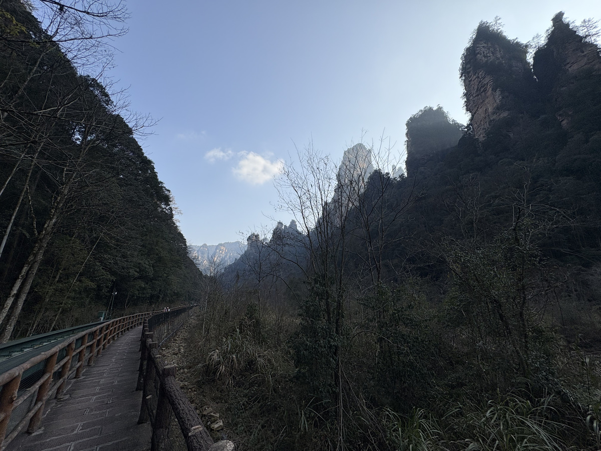 Picture China Zhangjiajie Tianzi Mountrain 2026-01 347 - Lake Tianzi Mountrain