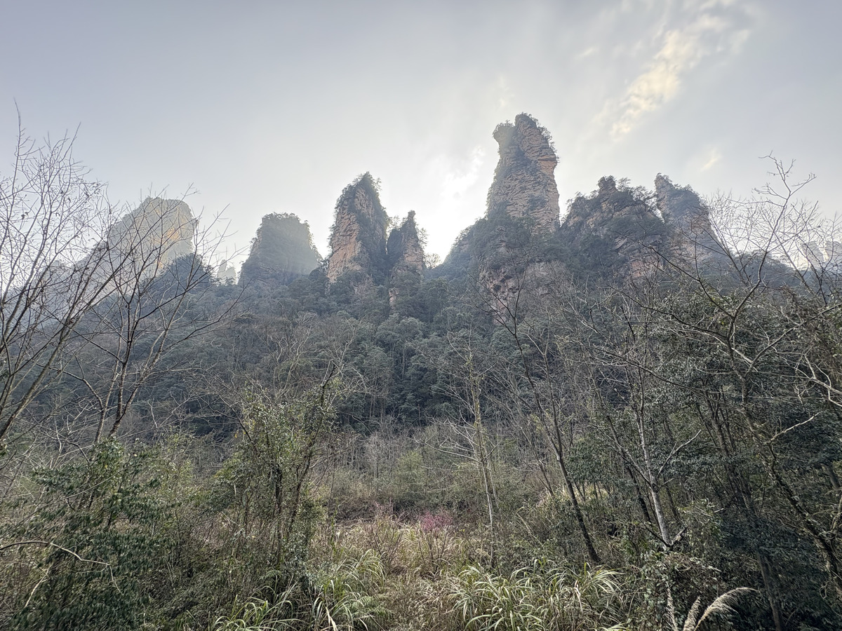 Picture China Zhangjiajie Tianzi Mountrain 2026-01 97 - Hotels Tianzi Mountrain