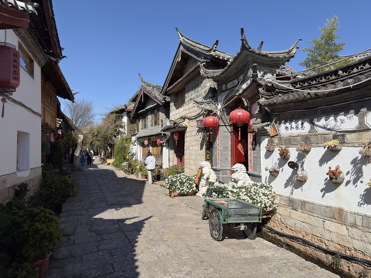 Picture China Lijiang 2026-01 503 - Rental Lijiang