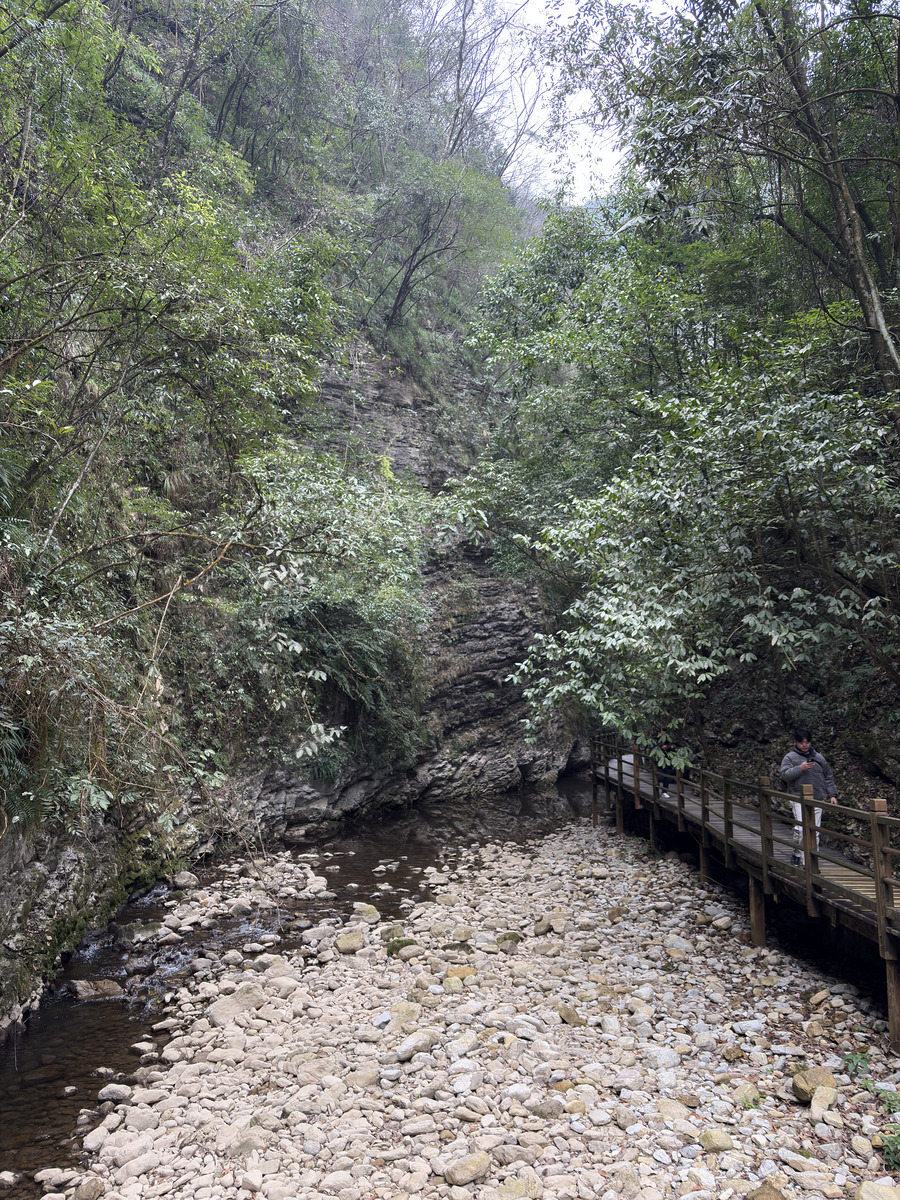 Picture China Zhangjiajie Grand Canion 2026-01 34 - Winter Grand Canion
