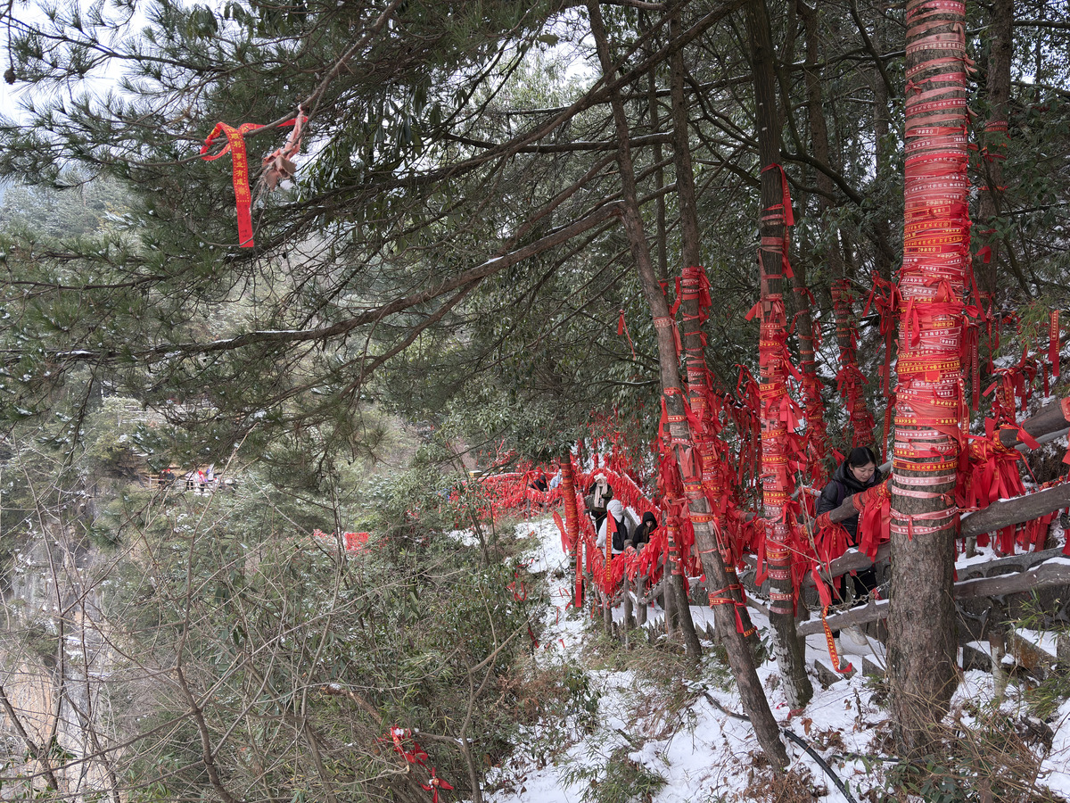 Picture China Zhangjiajie 2026-01 197 - Winter Zhangjiajie