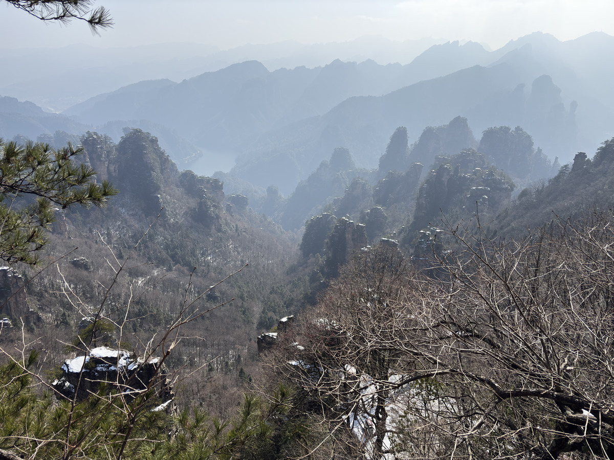Picture China Zhangjiajie Tianzi Mountrain 2026-01 61 - Hot Season Tianzi Mountrain