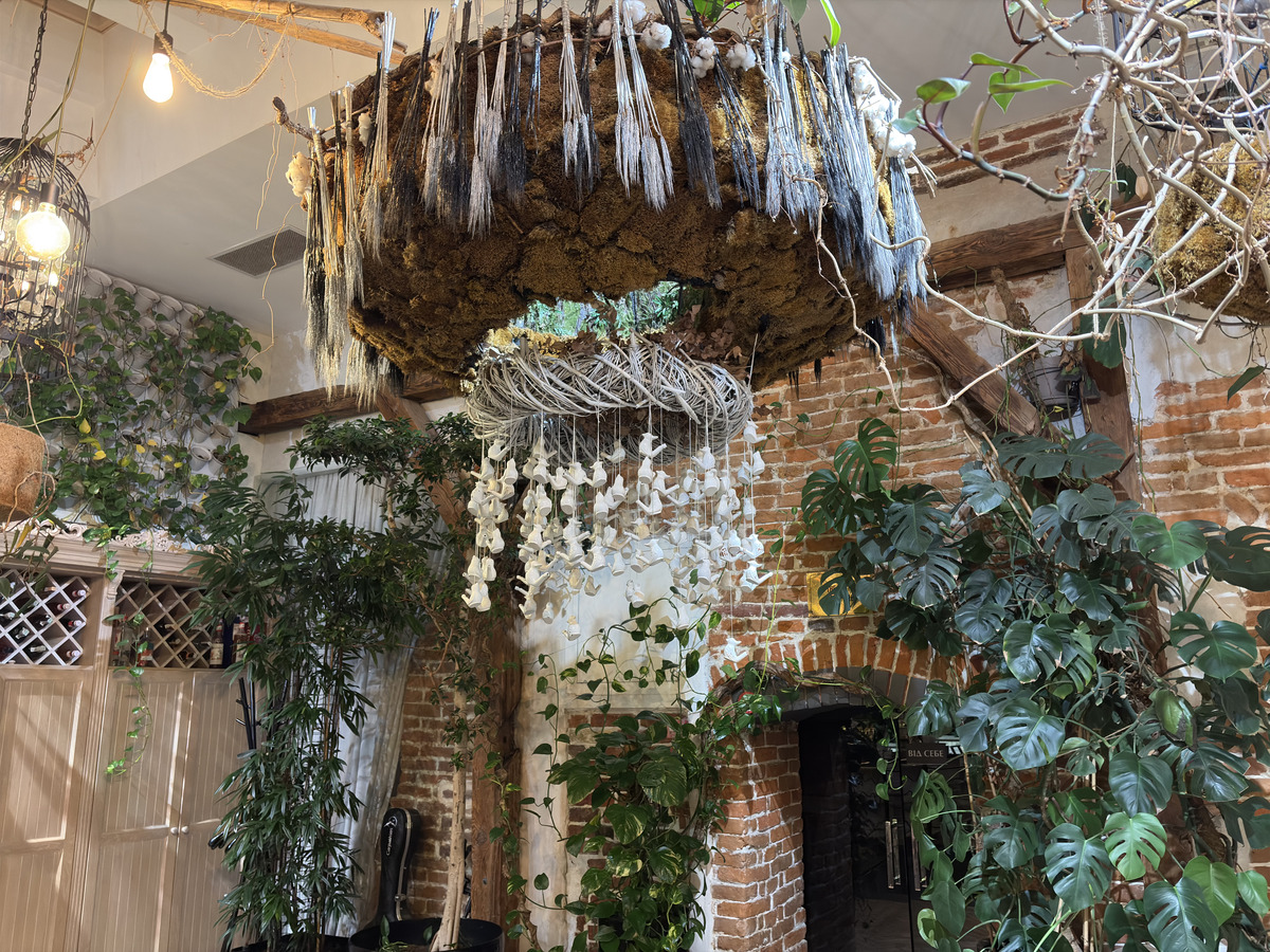Picture Ukraine Lviv Restaurants 2024-10 158 - Lands Restaurants