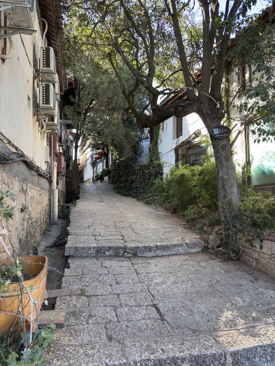 Picture China Lijiang 2026-01 522 - Saving Lijiang