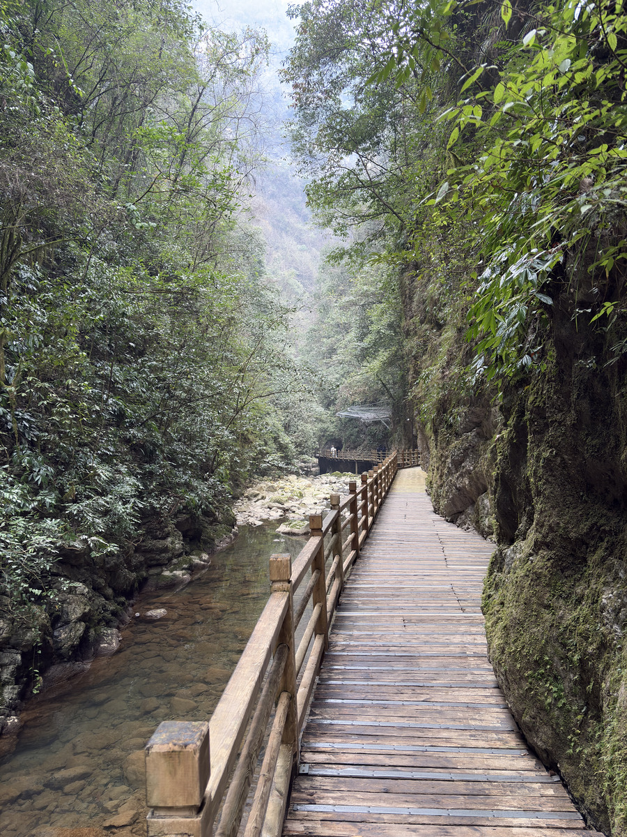 Picture China Zhangjiajie Grand Canion 2026-01 18 - Hot Season Grand Canion