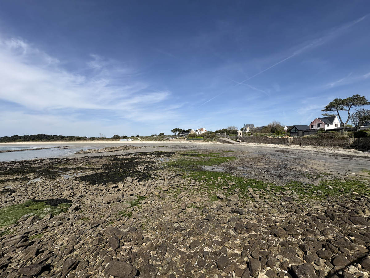 Picture France La Trinite-sur-Mer 2026-04 15 - Price La Trinite-sur-Mer