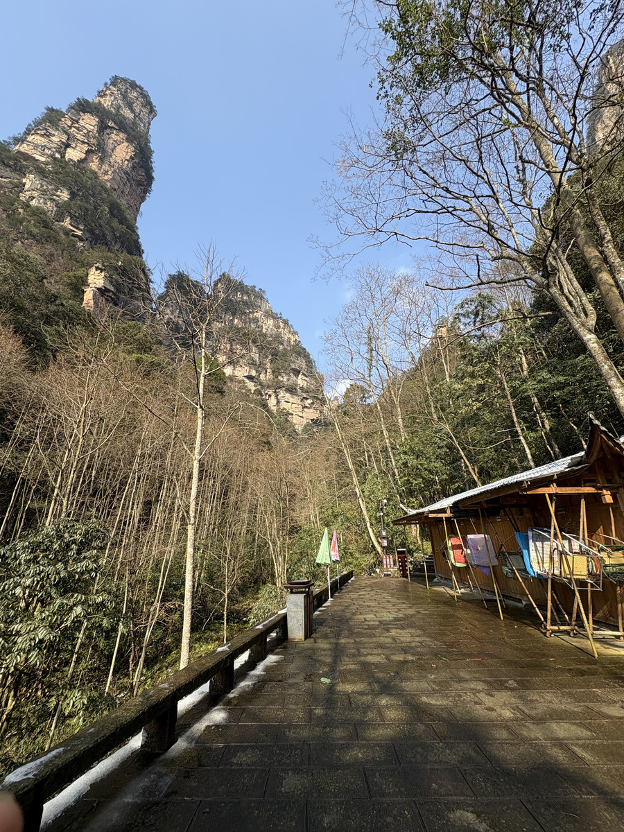 Picture China Zhangjiajie Tianzi Mountrain 2026-01 80 - Saving Tianzi Mountrain
