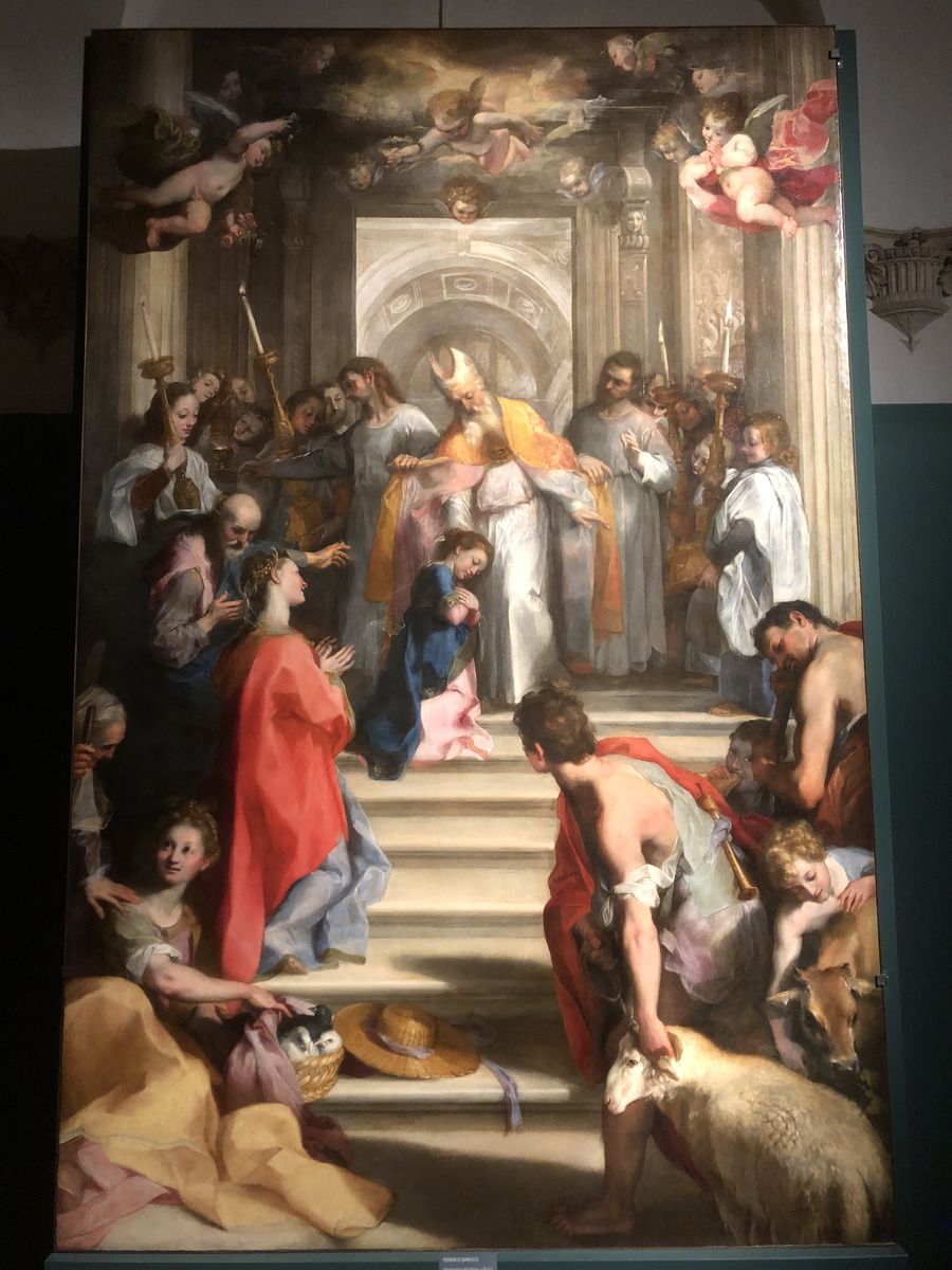 Picture Italy Urbino 2024-09 461 - Savings Urbino