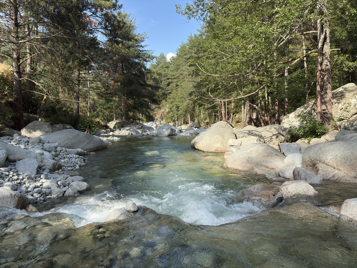 Picture France Corsica La Restonica 2025-06 2 - Hot Season La Restonica