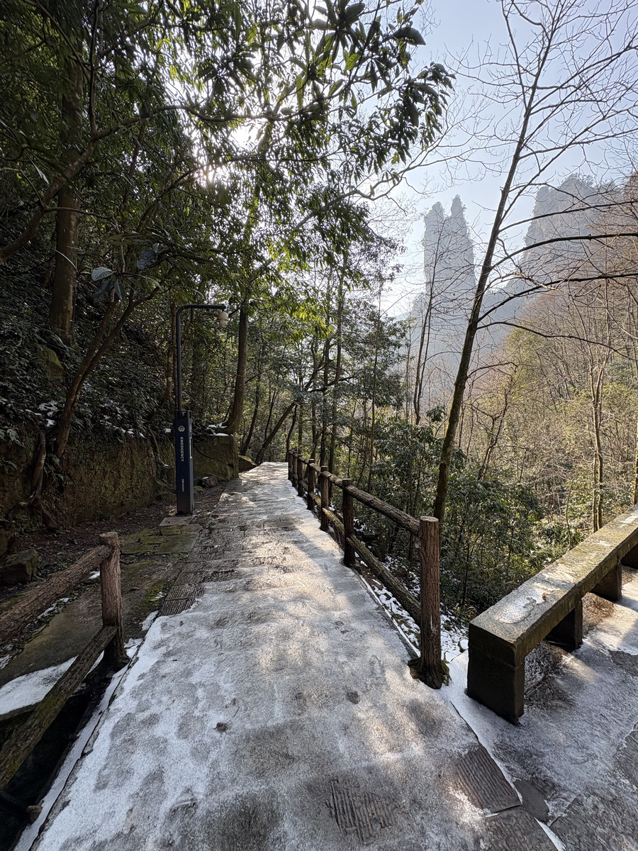 Picture China Zhangjiajie Tianzi Mountrain 2026-01 385 - Accomodation Tianzi Mountrain