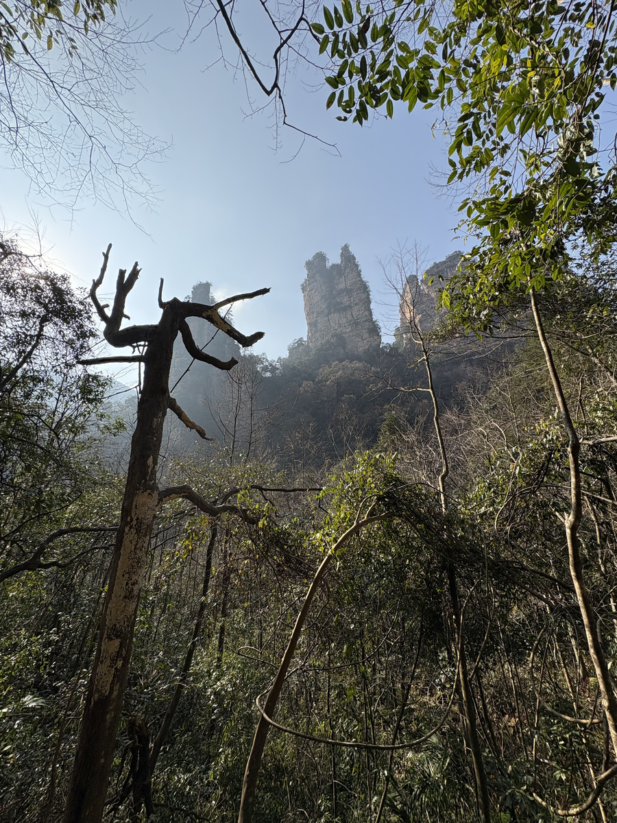 Picture China Zhangjiajie Tianzi Mountrain 2026-01 382 - To see Tianzi Mountrain